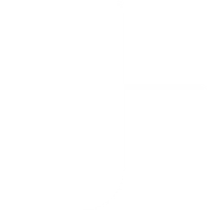 Logo Bg Img